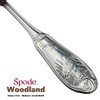 Spode Woodland 18/10 Stainless Steel 5pc. Place Setting (Service for
