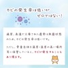 SMILE PET CLUB Rainbow Prayer Pet Urn Desiccant Diatomaceous Earth