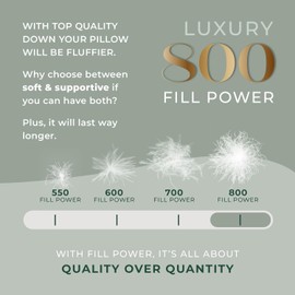 East Coast Bedding - Standard Size Pillow Pack of 1 - Soft Luxury Hotel Pillow for a Luxury Bed - 100% European Goose Down Pillow 800FP - Featherless Pillow for Sleeping