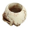 Skull Head Flower Pot Resin High Strength Clear Shape Skull