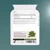 Elastin Formula | L-Gltcine 450mg, L-Alanine 150mg, Vitamin B6 6mg,