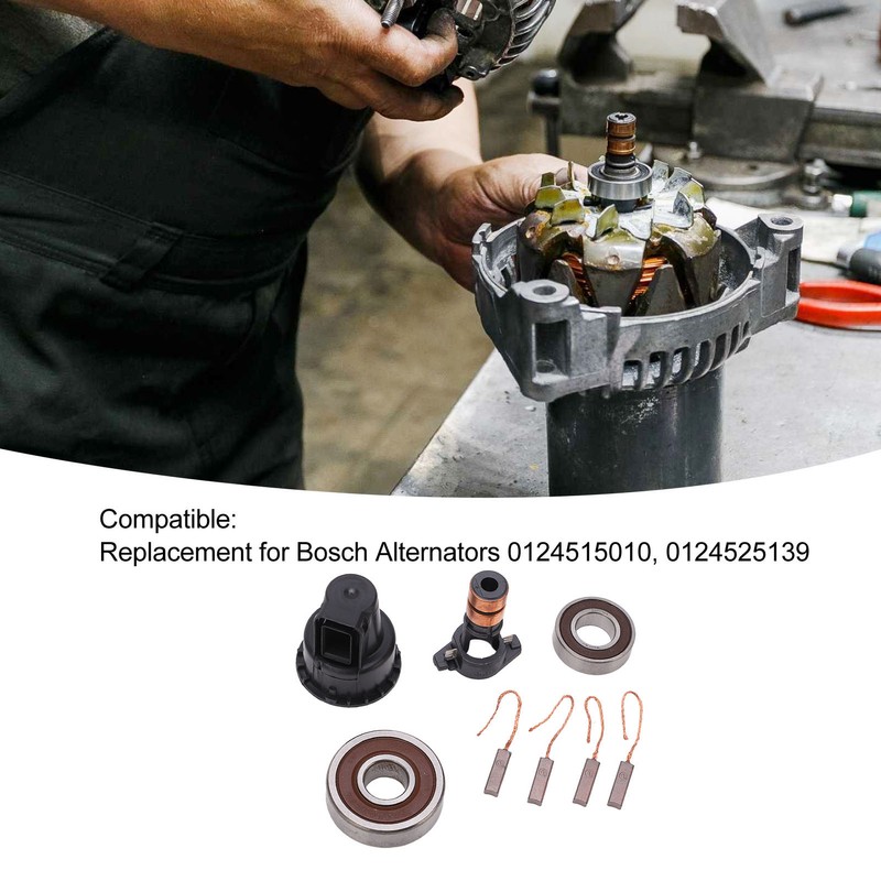 Alternator Repair Kit Slip Ring Brushes Bearings Set 230090 Replacement