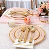 GATHER 350pcs Pink Plastic Plates - Disposable Plastic Dinnerware Set