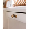 Goo-Ki 6 Pack Antique Brass Drawer Knobs with Backplate Zinc