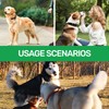 Anti Barking Device for Dogs, Ultrasonic Dog Barking Deterrent, Sonic