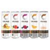 CELSIUS Fitness Drink 9-Flavor Variety Pack, Zero Sugar, Slim Can