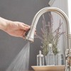Bathfinesse Kitchen Sink Faucet Brushed Nickel with Pull Down Sprayer