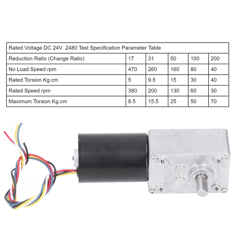 DC Brushless Worm Gear Motor High Torsion Low Noise Turbine