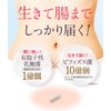  Healthy Family Contains 31 tablets of lactic acid bacteria