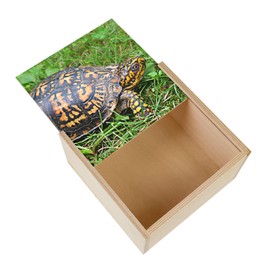 Fabulous Wooden Box - Turtle of Earth Black and Yellow Wandering in Grass (11 x 11 x 3.5cm)