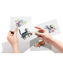 Twigs Papel – Tarjetas de felicitación de gatos surtidos – Tarjetas de papelería con sobres, tarjeta de agradecimiento, tarjetas de notas en blanco, t