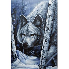 Scorpio Posters White Wolf - by Jenny Newland - Laminated Poster - 24.5" x 36.5"