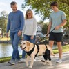RDOPODNJ (M Dog Rear Leg Brace with Safety Harness and