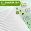 Aiskaer 2-Pack A1 A1W Replacement Filter Compatible with VEWIOR HQSC-50,HQKJ-80,AMEIFU