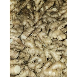 Roots Raw Whole Ginger Roots - 4Lb