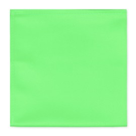 Jacob Alexander Men's Pocket Square Solid Color Handkerchief - Lime