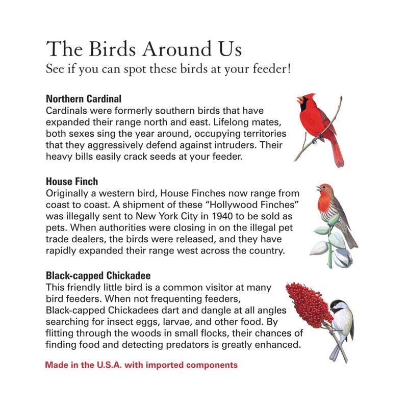 Woodlink MAG1 Magnum Sunflower Screen Feeder