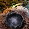 Reptile water bowl, natural rock design water tray, lizard, turtle,