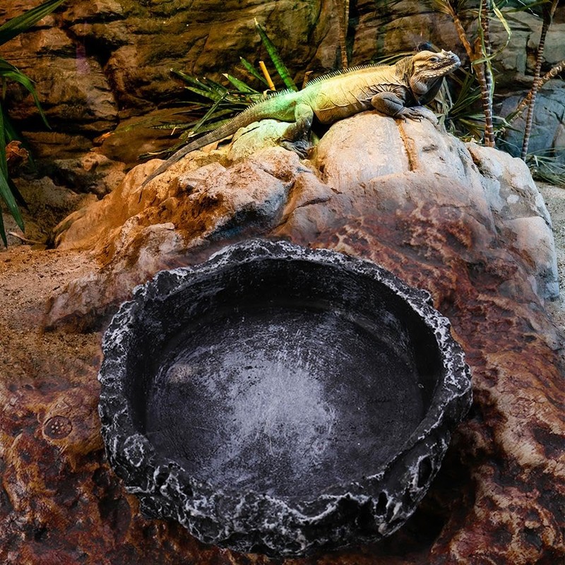 Reptile water bowl, natural rock design water tray, lizard, turtle,