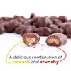 Platinum - Chocolate Coated Cashews 12 oz Resealable Pouch |