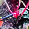 XHYCKJ 6/12PCS G Lighted Nocks for Arrows with .165 .204