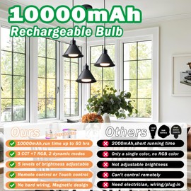 SlHYFMO Battery Operated Pendant Light Set of 2, RGB Color Changing Rechargeable Hanging Light with Remote Up to 50 Hours Use, Black Vintage Pendant Light No Wiring for Bedroom Living Room