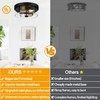 Flush Mount Ceiling Light Fixtures, 2-Light Black and Silver Ceiling