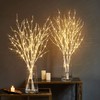 LITBLOOM Lighted White Twig Branches with Timer and Dimmer 2