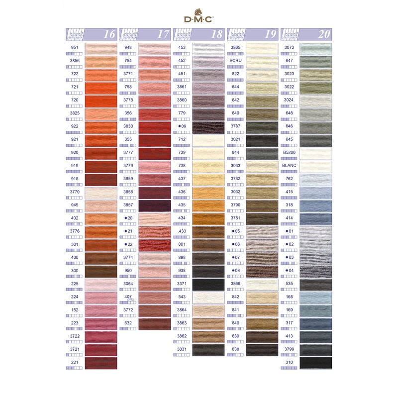 DMC Stranded Cottons Printed Shade Card (New Edition)
