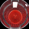 The Detail Guardz Dirt Lock Car Wash Bucket Insert