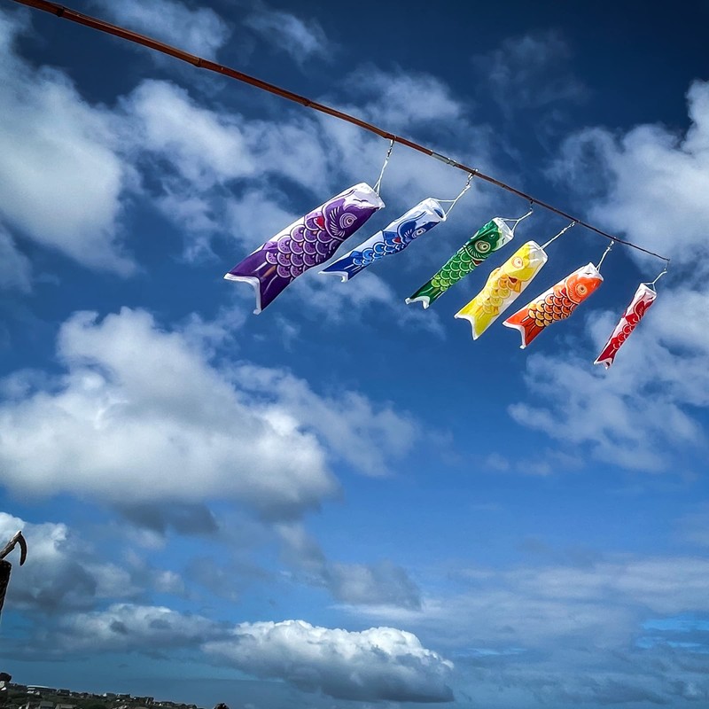 In the Breeze Koi Fish Windsock, Red/Orange/Yellow/Green/Blue/Purple (6 Pieces),3" W