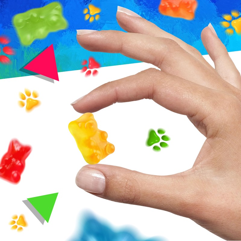 Bears Gummy Candy, Assorted Fruit Flavored (1 Pound Bag)