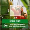 GardenGloss Jute Trellis Net, Sustainable, 100% Biodegradable, with Large Mesh