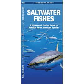 Saltwater Fishes: A Folding Guide to Familiar North American Species (Nature Observation North America)