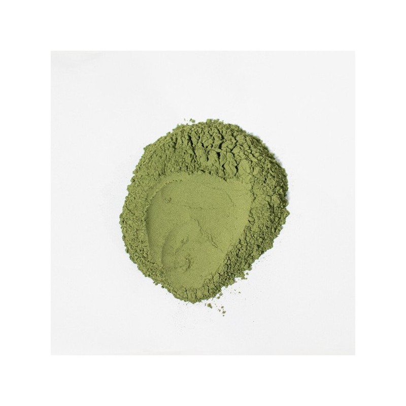 연잎분말 200g Lotus Leaf Powder 200g