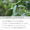 Natural 100% Eucalyptus Citriodora Oil (Lemon Eucalyptus) 30ml Essential Oil