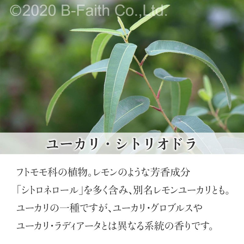 Natural 100% Eucalyptus Citriodora Oil (Lemon Eucalyptus) 30ml Essential Oil
