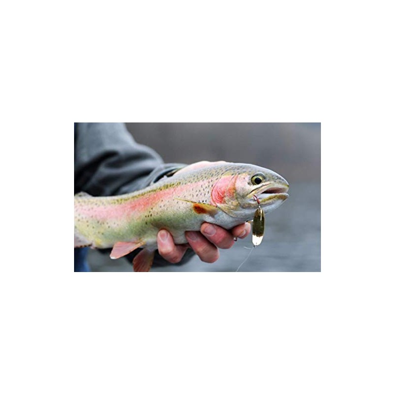 Lindy LQSP263 Quiver Spoon Chartreuse Glow/Gold, 1/16