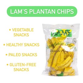Lam's Plantan chips, vegetable snacks, healthy snacks, paleo snacks, gluten-free snacks - certified whole foods - banana chips, natural slices (pack of 12)