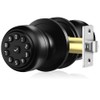 WREO Keypad Smart Door Knob Lock, Keyless Entry Door Lock