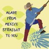 Chantico Agave Organic Sweetener (333g of each, Variety 3 pack,