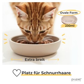 PiuPet® Cat Bowl Set of 2 I Feeding Bowl Cat Non-Slip I Bowl Cat Dishwasher Safe I Cat Feeding Bowl Flat and Wide I Bamboo Feeding Bowl I 230 ml I Beige/Grey