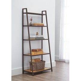 TRINITY 5-Tier Ladder Bookshelf, Decorative Plant Stand and Book Shelf for Living Room, Bedroom, Closet, Home Office, and More, 325 Pound Capacity, 27” by 14” by 60”, Bronze