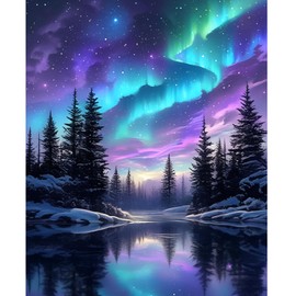 NEWENMO Adult Paint by Numbers Canvas Kits,Aurora Borealis Painting by Number,Forest Night Scenery Paint by Numbers Kits,DIY Craft Art Painting Kit,Oil Painting Kits,for Home Decoration 40x50cm