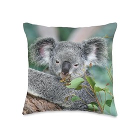 Koala Bear Throw Pillow