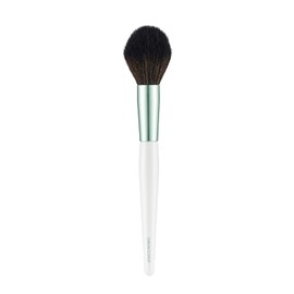 The Face Shop FMGT. Cheek Brush,