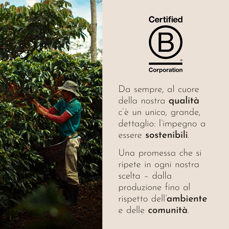 illy, Caffè in Grani da Macinare INTENSO, 100% Arabica con
