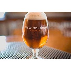New Belgium Brewing Co. Globe Beer Glass - 16 oz