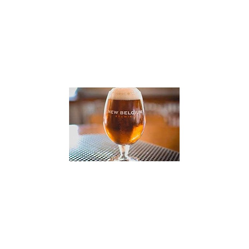 New Belgium Brewing Co. Globe Beer Glass - 16 oz