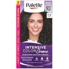 Palette ICC, Tono 1-0 Negro Tinte Permanente Cobertura de Canas,